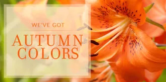 Autumn-AutumnColors-lily-blog