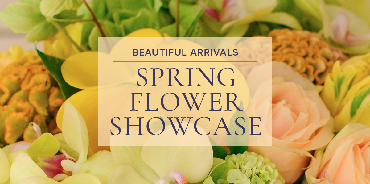 Shop Our Spring Showcase! Peoples Flowers