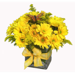golden yellow bouquet of bright daisies and more!