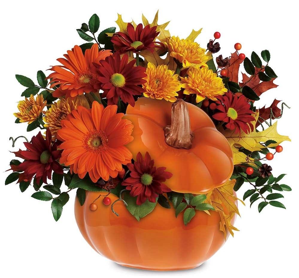Celebrate Halloween all October with Festive Flowers and Gifts ...