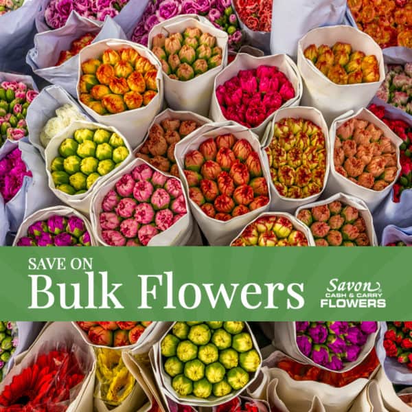 Floral Specials Albuquerque (NM) People's Flowers Peoples Flowers