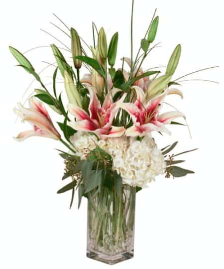  Long lasting Lilies and fresh Hydrangea which will make an impression sure to last.