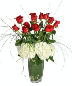 Fifteen Fabulous Luxury Roses designed around beautiful fresh Hydrangea