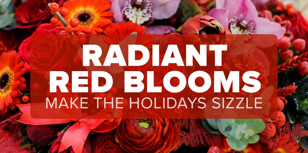 Add Red Flowers to Your Holiday Decor for Warmth and Beauty Peoples